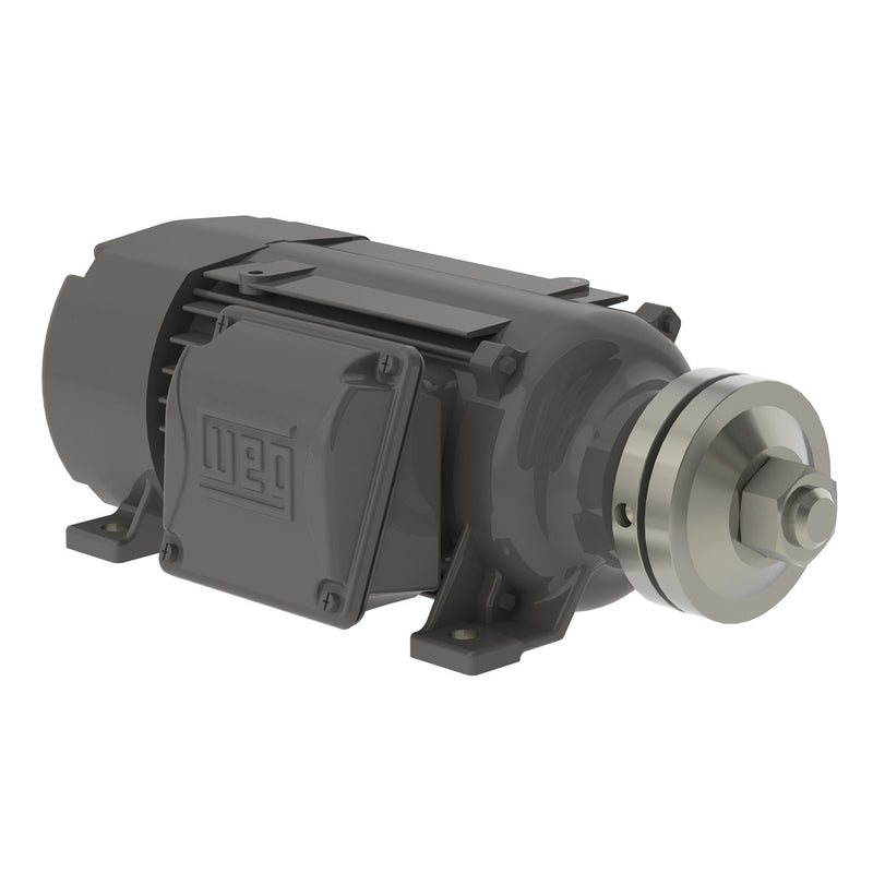 WEG 00336ES3ESA80SR Saw Arbor Motor Standard Efficiency 3 HP 2P 80S/MS 3Ph 208-230/460 V 60 Hz IC411 - TEFC - B3R(D)