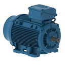 WEG 07518ET3E365TSF3-W22 W22 NEMA Premium Efficiency 75 HP 4P 364/5TS 3Ph 230/460//380 V 60//50 Hz IC411 - TEFC - Foot-mounted