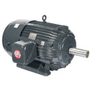 US Motors C125P2CS - 125 HP - TE - 1785 RPM
