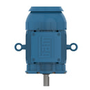 WEG 00718XT3ER213TC W21 Explosion-proof Motor NEMA Premium Efficiency 7.5 HP 4P 213/5TC 3Ph 230/460//380 V 60//50 Hz IC411 - TEFC - Footless
