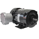 WEG .7518XS3E56 Explosion Proof Standard Efficiency 0.75 HP 04 56 208-230/460V 60/50 Hz-TEFC-Foot-mounted