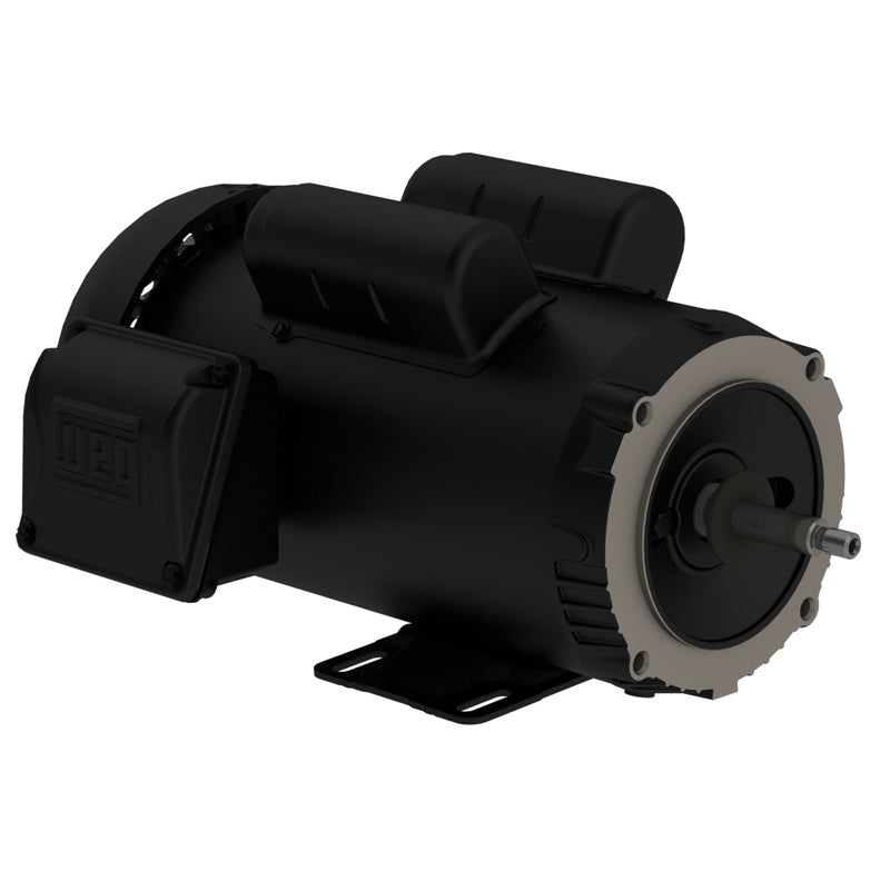 WEG 00336ES1DJP56J-S Rolled Steel Jet Pump - J type 3 HP 2P 56J 1Ph 230 V 60 Hz IC411 - TEFC - Foot-mounted