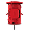 WEG 03036OP3HFP284JMV-W4 W40 JM Pump High Efficiency 30 HP 2P 284/6JM 3Ph 575 V 60 Hz IC01 - ODP - Footless