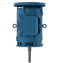 WEG 02518OT3E284JPV-W40 W40 JP Pump NEMA Premium Efficiency 25 HP 4P 284/6JP 3Ph 230/460//380 V 60//50 Hz IC01 - ODP - Footless